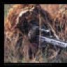 50BMG