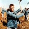 coolhand297