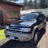 blackstallion1999