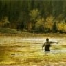 Flifisher
