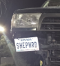 loneshepherd