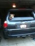 TheTuckerTaxi