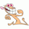 Runcrazy