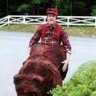 Bear_F_ucker
