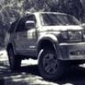 Safari Runner
