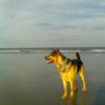 BAYOU