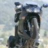 Wheelie