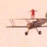 wingwalker
