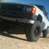 85T4RLYONS