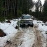 ellner357