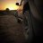 boxtree619