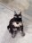 xtrmlaw