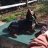 elGato