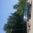4Runner Junky