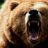 theBEAR