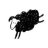 rvdb
