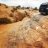 Dimhof