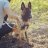 MalinoisRunner