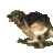 Schaferhund