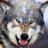 Arkansaswolf