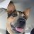 jaxtheacd