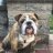 Louie_D42