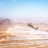 okayest_pilot