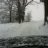 Veatch