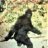 Wild Thing