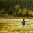 Flifisher