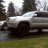 Silverback35