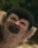 Griffin_101