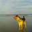 BAYOU