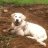 remdog24