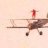 wingwalker