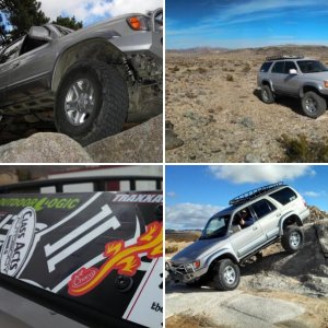 Masson74 pictures