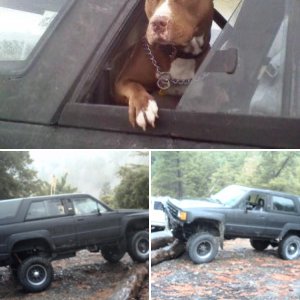 4runner with ifs