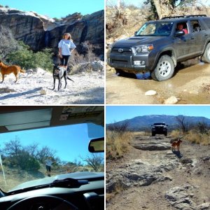 Arizona Redington Pass