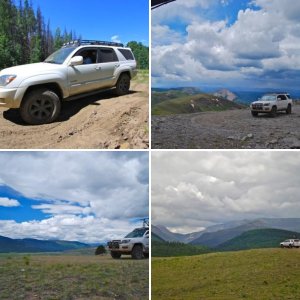 gaterose '03 Limited PreRunner