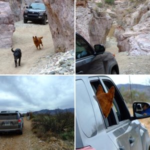 BuehmanCanyon