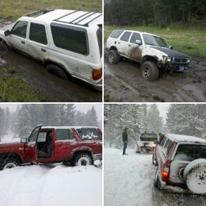 Montana lovin