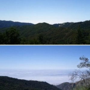 Los Padres Nat'l Forest - South Coast Ridge Rd.