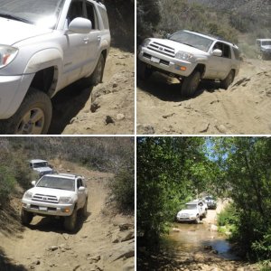 My mall crawler