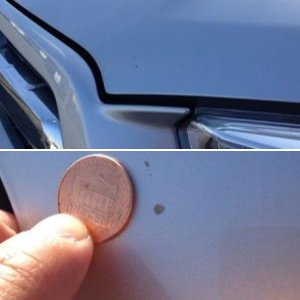 Chip on Hood