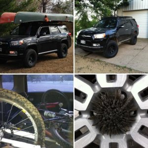 2011 limited