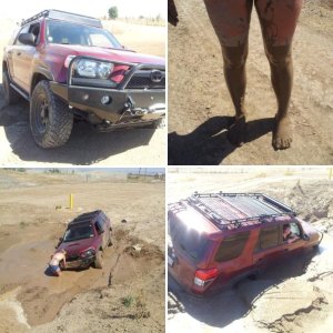 2010 4Runner TE