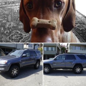 2004 4Runner
