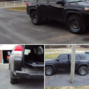 2010 Trail