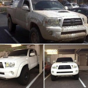 My Taco
