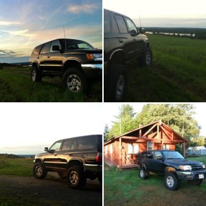 My Black Stallion
